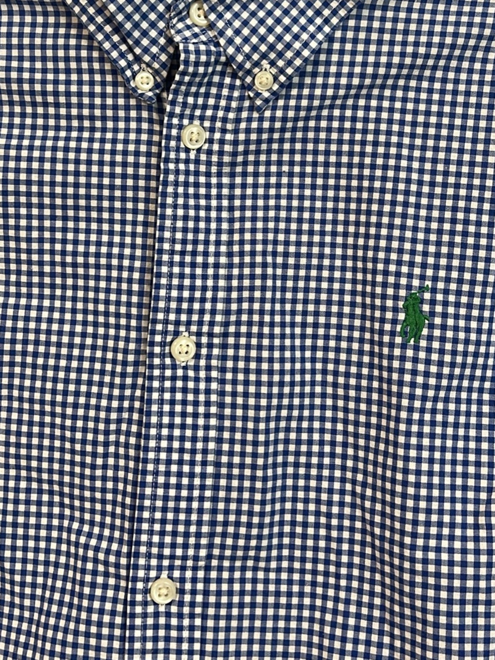 Ralph Lauren Navy and White Gingham Button-Down Shirt with Green Polo Emblem